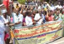 மின்வாரிய ஓய்வூதியர் ஆர்ப்பாட்டம்