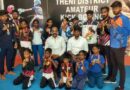 மாநில அளவிலான கிக் பாக்சிங் போட்டி 10 மாணவர்கள் தங்கம் வென்று சாதனை